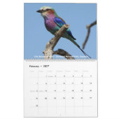 Wildlife Calendar Kalender (Feb 2027)