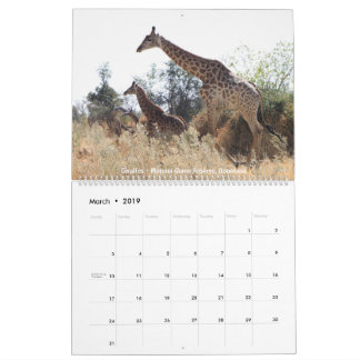 Wildlife Calendar Kalender
