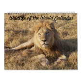 Wildlife Calendar Kalender (Titelbild)