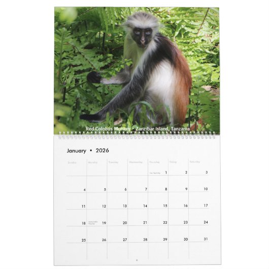Wildlife Calendar Kalender (Jan 2026)