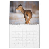 Wildlife Calendar Kalender (Jan 2027)
