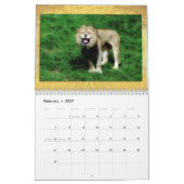 Wildlife Calendar Kalender (Feb 2027)