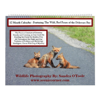Wildlife Calendar, Red Foxes Kalender