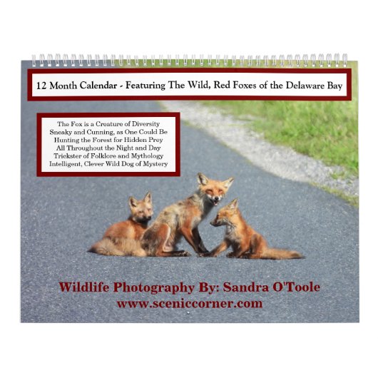 Wildlife Calendar, Red Foxes Kalender (Titelbild)