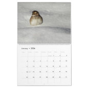 Wildlife Calendar, Songbirds, Wild Birds Kalender (Jan 2026)