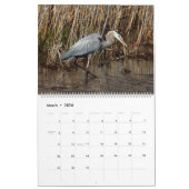 Wildlife Calendar, Waterbirds, Herons Kalender (Mär 2026)