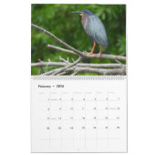 Wildlife Calendar, Waterbirds, Herons Kalender (Feb 2026)