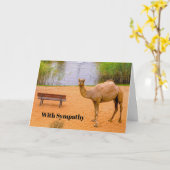 Wildlife Camel Oasis Foto Beileid Karte (Gelbe Blume)