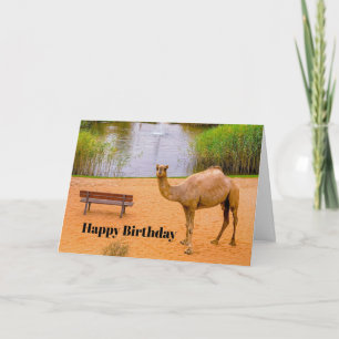 Wildlife Camel Oasis Foto Geburtstag Karte