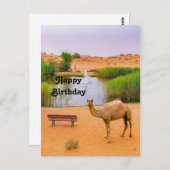 Wildlife Camel Oasis Foto Geburtstag Postkarte (Vorne/Hinten)