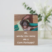 Wildlife Care Package Postkarte (Stehend Vorderseite)