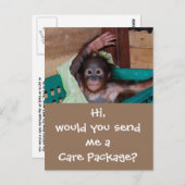 Wildlife Care Package Postkarte (Vorne/Hinten)