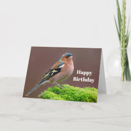 Wildlife Chaffinch Foto Birthday Karte