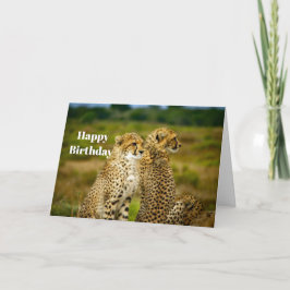 Wildlife Cheetah Foto Birthday Karte