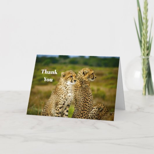 Wildlife Cheetah Foto Dankeskarte (Vorderseite)
