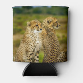 Wildlife Cheetah Foto Dosenkühler (Vorderseite)