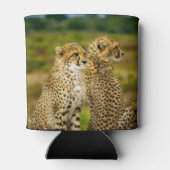 Wildlife Cheetah Foto Dosenkühler (Rückseite)