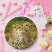 Wildlife Cheetah Foto Pappteller (Party)