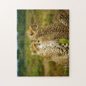 Wildlife Cheetah Foto Puzzle (Vertikal)