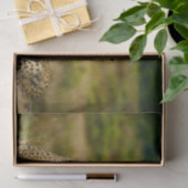 Wildlife Cheetah Foto Seidenpapier (Geschenk)