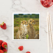Wildlife Cheetah Foto Serviette (Beispiel)