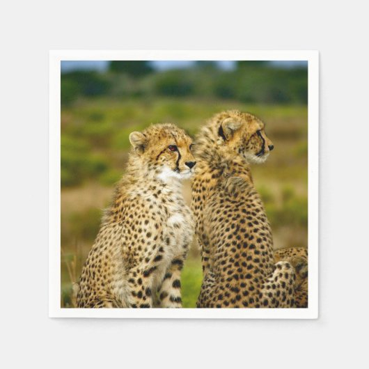 Wildlife Cheetah Foto Serviette (Vorderseite)