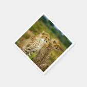 Wildlife Cheetah Foto Serviette (Ecke)