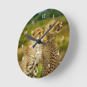 Wildlife Cheetah Photo Runde Wanduhr (Winkel)