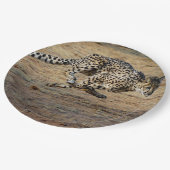 Wildlife Cheetah Running Foto Pappteller (Schrägansicht)