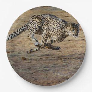 Wildlife Cheetah Running Foto Pappteller