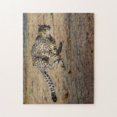 Wildlife Cheetah Running Foto Puzzle (Vertikal)