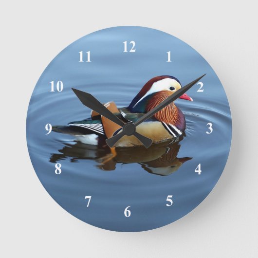 Wildlife Colorful Duck Blue Water Photo Runde Wanduhr (Vorderseite)