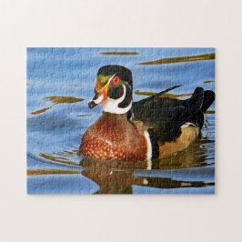 Wildlife Colorful Wood Duck Blue Water Foto Puzzle