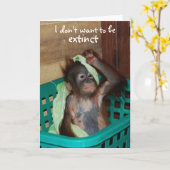 Wildlife Conservation Grumpy Baby Karte (Gelbe Blume)