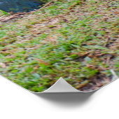 Wildlife Conservation v Litter and Trash Poster (Ecke)