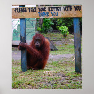 Wildlife Conservation v Litter and Trash Poster