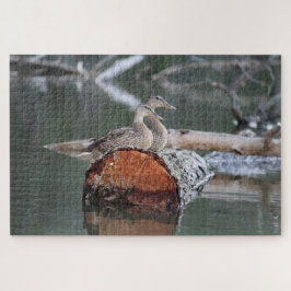 Wildlife Duck Fotograf Puzzle