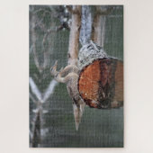 Wildlife Duck Fotograf Puzzle (Vertikal)