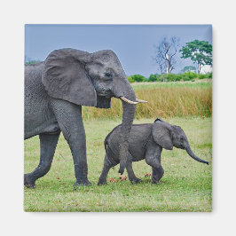 Wildlife Elephant Calf Foto Magnet