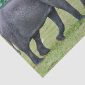 Wildlife Elephant Calf Foto Seidenpapier (Ausschnitt)