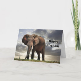 Wildlife Elephant Foto Geburtstag Karte
