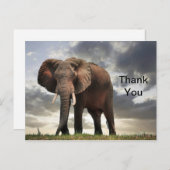 Wildlife Elephant Foto Vielen Dank Postkarte (Vorne/Hinten)