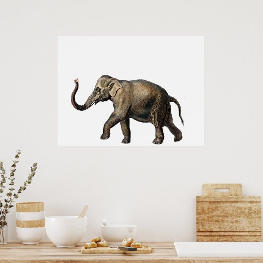 Wildlife Elephant Poster (Küche)