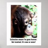 Wildlife Extinction poster (Vorne)