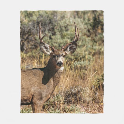 WILDLIFE-FOTOGRAFIE DES BROWN BUCK FLEECEDECKE (Vorderseite)