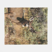 WILDLIFE-FOTOGRAFIE DES BROWN BUCK FLEECEDECKE (Vorderseite (Horizontal))
