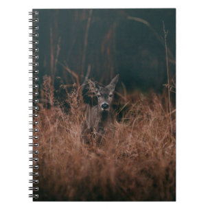 WILDLIFE-FOTOGRAFIE VON GRAURER, UMGEBEN VON GR NOTIZBLOCK