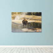Wildlife Fotografy American Bison Yellowstone Leinwanddruck (Insitu (Holzboden))