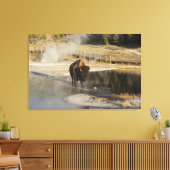 Wildlife Fotografy American Bison Yellowstone Leinwanddruck (Insitu (Wohnzimmer))