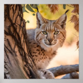 Wildlife Fotografy Closeup Poster (Vorne)